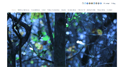 Desktop Screenshot of angelaterga.com